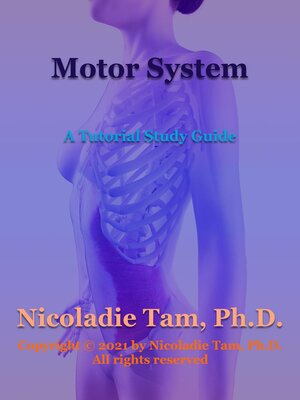cover image of Motor System